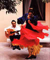flamenco dancer flamenco guitarist